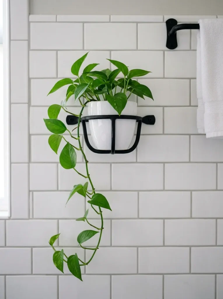 Small pothos in a white ceramic pot in a wall-mounted iron bracket at eye level in a bathroom, no counter or shelf below